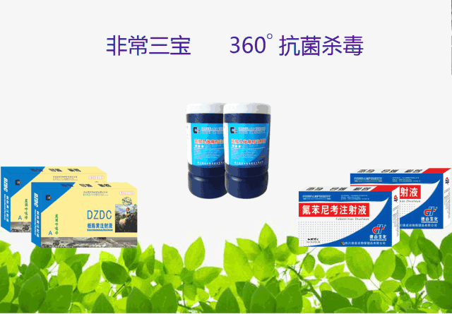 微信图片_20190529153811.gif