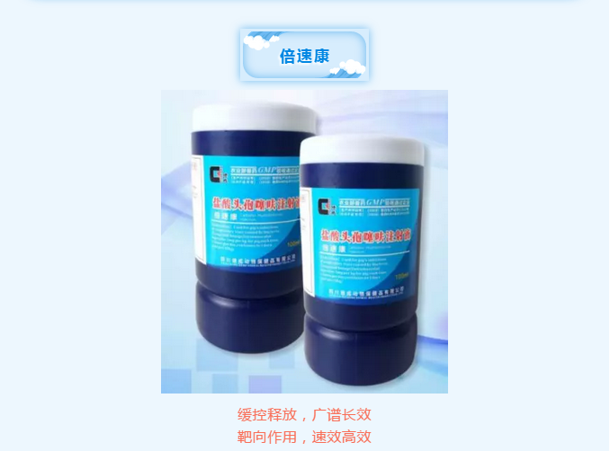 微信图片_20190529152626.png