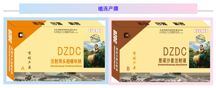 微信图片_20190613142713.png