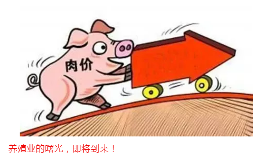 微信图片_20190403165502.png